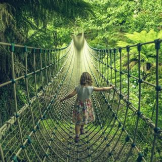 England's Family Day Trip Tips - 2024's Thrilling Adventures!