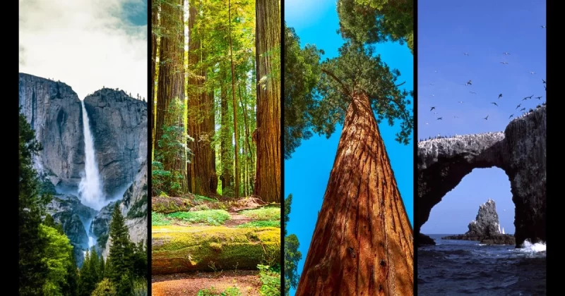 8 Best National Parks In California To Explore This Year