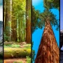 8 Best National Parks In California To Explore This Year