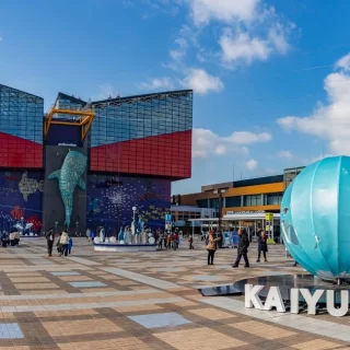 Osaka Aquarium Kaiyukan: Your Guide to a Perfect Visit