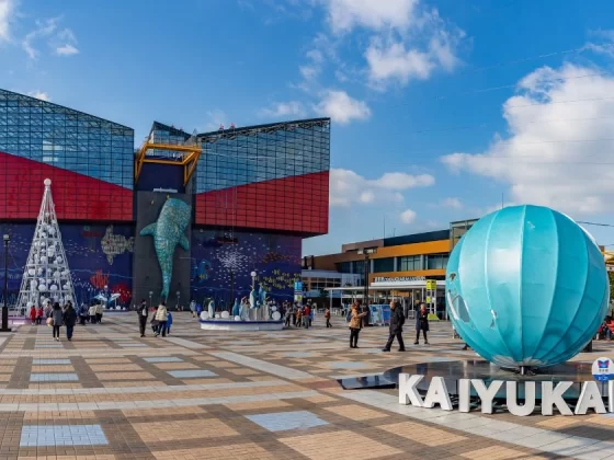 Osaka Aquarium Kaiyukan: Your Guide to a Perfect Visit