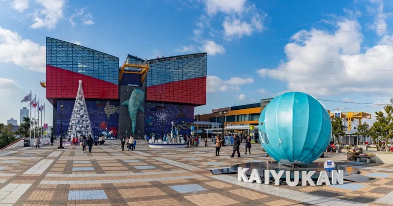 Osaka Aquarium Kaiyukan: Your Guide to a Perfect Visit