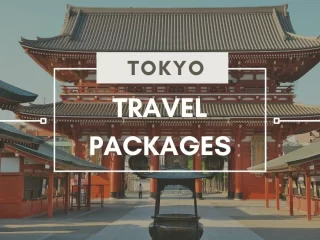 Best Budget-Friendly Tokyo Travel Packages Under $1500